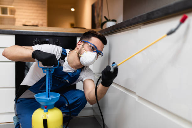  Diamond Bar, CA Pest Control Pros