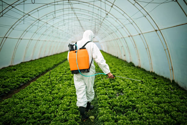 Best Ant Control Services  in Diamond Bar, CA