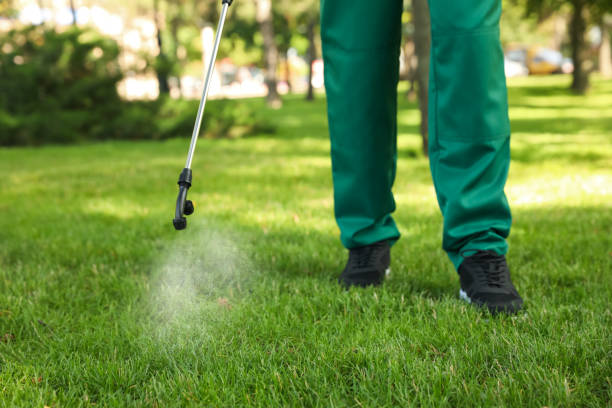Flea Control Services in Diamond Bar, CA