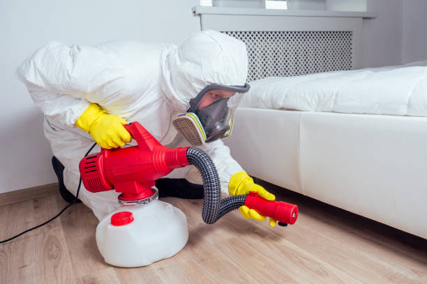 Reliable Diamond Bar, CA Pest Control Solutions
