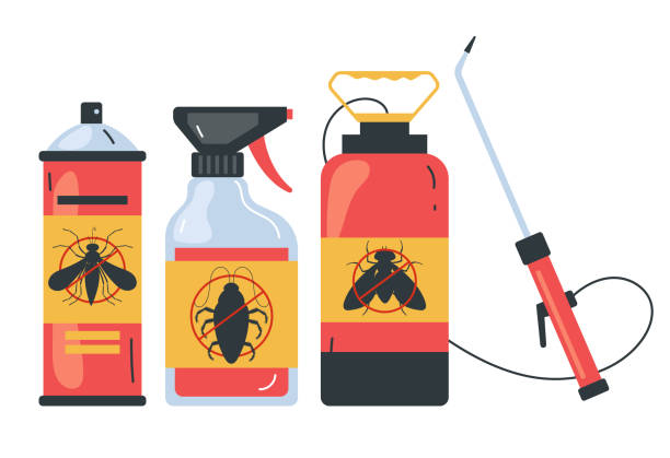Best Termite Control Services  in Diamond Bar, CA