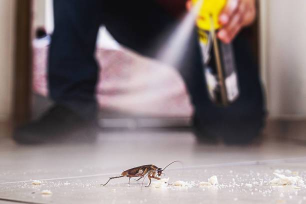 Best Insect Control  in Diamond Bar, CA