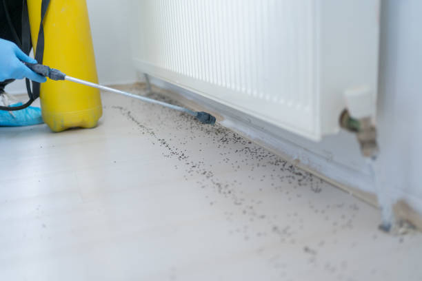 Best Wildlife Control Services  in Diamond Bar, CA
