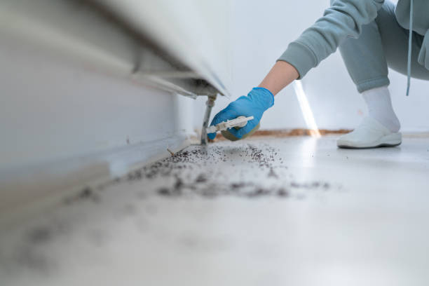 Best Emergency Pest Control  in Diamond Bar, CA