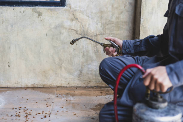 Best Flea Control Services  in Diamond Bar, CA